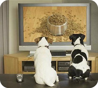 Media watching -- dogs with food on TV